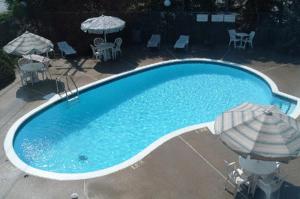 a large blue swimming pool with umbrellas and chairs at Motel Du Chevalier in Gatineau