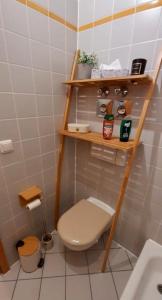 a bathroom with a toilet and shelves on the wall at Das kleine Liesl in der Neustadt mit Parkplatz in Dresden