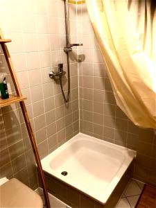ein Badezimmer mit einer Dusche und einer weißen Badewanne in der Unterkunft Das kleine Liesl in der Neustadt mit Parkplatz in Dresden