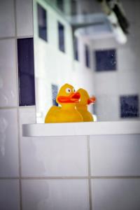 two rubber ducks sitting on a shelf in a bathroom mirror at Bakgården i Revsund in Gällö