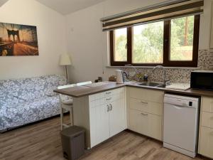 una cocina con fregadero y un sofá en una habitación en STUDIO in CAPTAINS HOUSE WITH A POOL, en Limassol