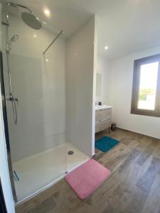 a bathroom with a shower and a pink rug at Appartement confortable et paisible in Loupiac-de-Cadillac
