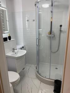 W łazience znajduje się prysznic, toaleta i umywalka. w obiekcie Turkusowy Zakątek Głogów w Głogowie