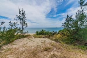 a beach with trees and the ocean in the background at May Villa 6BR Beachfront An Bang Beach Hoi An by Beachside Boutique Homes in An Bàn (2)