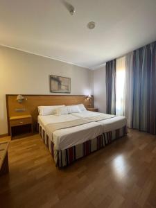 ein Schlafzimmer mit einem großen Bett in einem Zimmer in der Unterkunft Alojamientos Cervantes in Linares