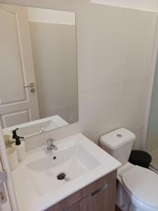 La salle de bains est pourvue d'un lavabo blanc et de toilettes. dans l'établissement Enjoy Oporto Campanha 2, à Porto