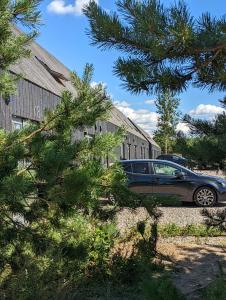 a car parked next to a building with a pine tree at Svencelė K-17 in Svencelė