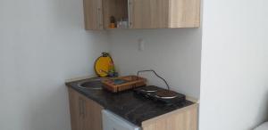 Kuchyň nebo kuchyňský kout v ubytování Apartmani Jacimovic