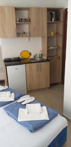Kuchyň nebo kuchyňský kout v ubytování Apartmani Jacimovic