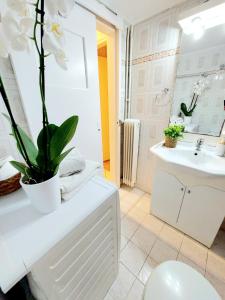 y baño con aseo y lavamanos. en Lovely equipped apartment in Kallithea Athens, en Atenas