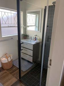 y baño con lavabo y ducha. en 28 at Van Den Bos International Guesthouse, en Edenvale
