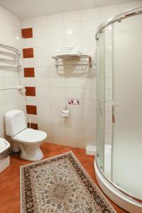 uma casa de banho com um chuveiro, um WC e um tapete em Smėlynė em Panevėžys