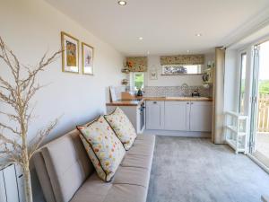 ein Wohnzimmer mit einem Sofa und einer Küche in der Unterkunft Cuckoo Nest in Chesterfield