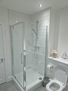 a bathroom with a shower and a toilet at Wns Southend -on-Sea in Southend-on-Sea