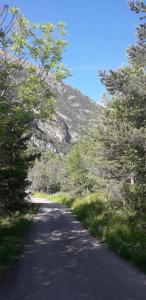 a road in front of a mountain with trees at Chalet cocody jacuzz in Jausiers