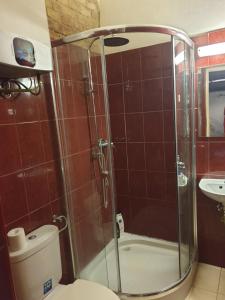 ブダペストにあるFanni apartmanのバスルーム(シャワー、トイレ、洗面台付)