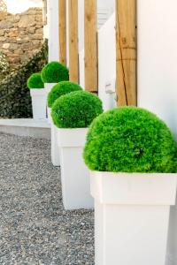 A garden outside Endless Blue from Syros - Megas Gialos Resort - Suite 1