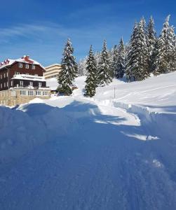 a house on a snow covered slope with trees at Apartmán Meluzína in Staré Hamry