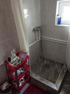 a bathroom with a shower with a red cart at Konak Mileva in Sjenica