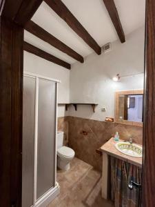 a bathroom with a toilet and a sink at Luby Cortijo El Horno in Lubrín