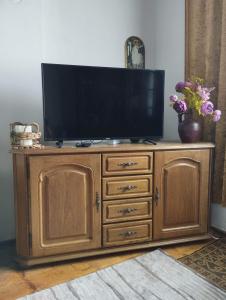 a television on top of a wooden entertainment center at Konak Mileva in Sjenica