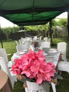 un tavolo con fiori rosa in un cestino di Къща за гости Рупите , Guest House Relax Rupite a Rupite