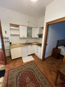 a small kitchen with white cabinets and a rug at Agriturismo Corte Del Brenta in Oriago Di Mira