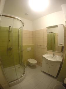 e bagno con doccia, servizi igienici e lavandino. di Apartments with a parking space Marina, Trogir - 11607 a Marina