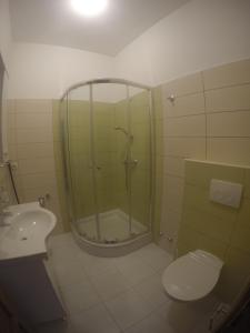 e bagno con doccia, servizi igienici e lavandino. di Apartments with a parking space Marina, Trogir - 11607 a Marina