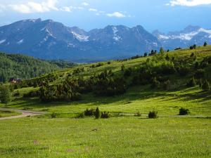 Fotografie z fotogalerie ubytování Durmitor View Lodge v destinaci Žabljak + 6 fotografií