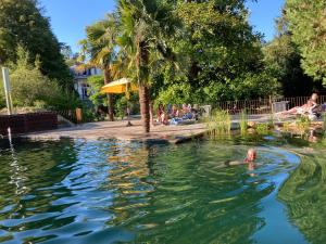 a person swimming in the water in a pool at Petit Château in Laborde