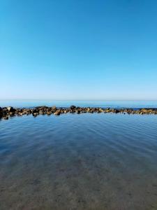 um grupo de rochas na água em uma praia em Tra mare e arte em Lido di Ostia