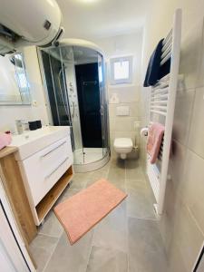 a bathroom with a shower and a toilet and a sink at Ferienhaus Walcher in Sankt Martin am Grimming