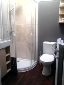 Un baño con ducha, inodoro y lavabo. en La Ginente Appartement, en Argilliers