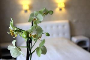 Postel nebo postele na pokoji v ubytování Hotel Felicia