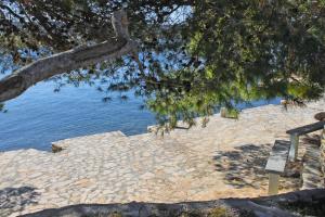 Fotografie z fotogalerie ubytování Apartments by the sea Necujam, Solta - 17459 v destinaci Grohote