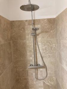 a shower with a shower head in a bathroom at Cabanon Ecurie Maestoso in Lançon-Provence
