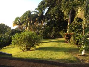 Zahrada ubytování RNM The Clubhouse, Grenada