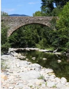 un puente de piedra sobre un río con rocas en Superbe appartement au cœur des cévennes, en Avèze