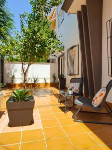 a courtyard with chairs and a tree in a building at La Mansión del Toledano in Granada