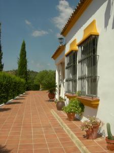 a house with potted plants on a brick walkway at Casa rural Villa Manuela in Cazalla de la Sierra