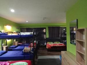a room with four bunk beds and green walls at Orchid Haven in Cameron Highlands