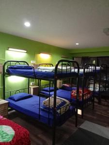 a group of bunk beds in a room at Orchid Haven in Cameron Highlands