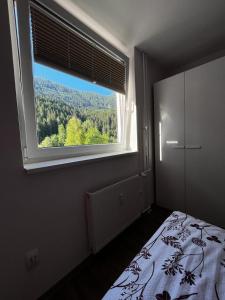 克拉尼斯卡戈拉APARTMA CARPE DIEM的一间卧室设有大窗户和一张床,享有美景