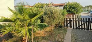 a garden with palm trees and bushes next to a fence at Chalet en bois "Le Libellule" in Sigean