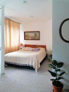 um quarto com uma cama e um vaso de plantas em DUNKE em Dunkerque