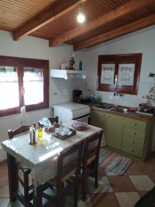 A kitchen or kitchenette at Magnolia Traditional Stone House in Vamvakou