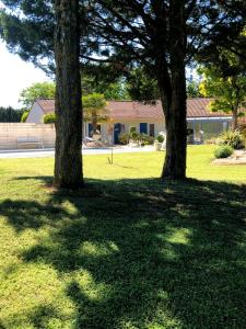 two trees in a yard with a house in the background at lagalerne in Neuville-de-Poitou