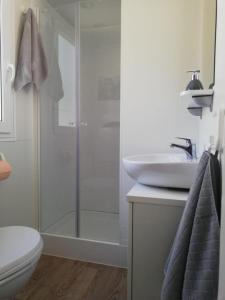 a bathroom with a shower and a sink at Mobile home Happy Summer in Biograd na Moru