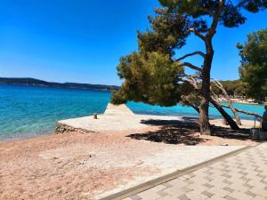 a tree on a sandy beach next to the water at Mobile home Happy Summer in Biograd na Moru